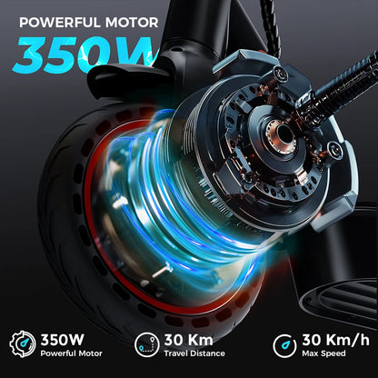 Sf31b80fae0804abdb59e48d0c32583abC